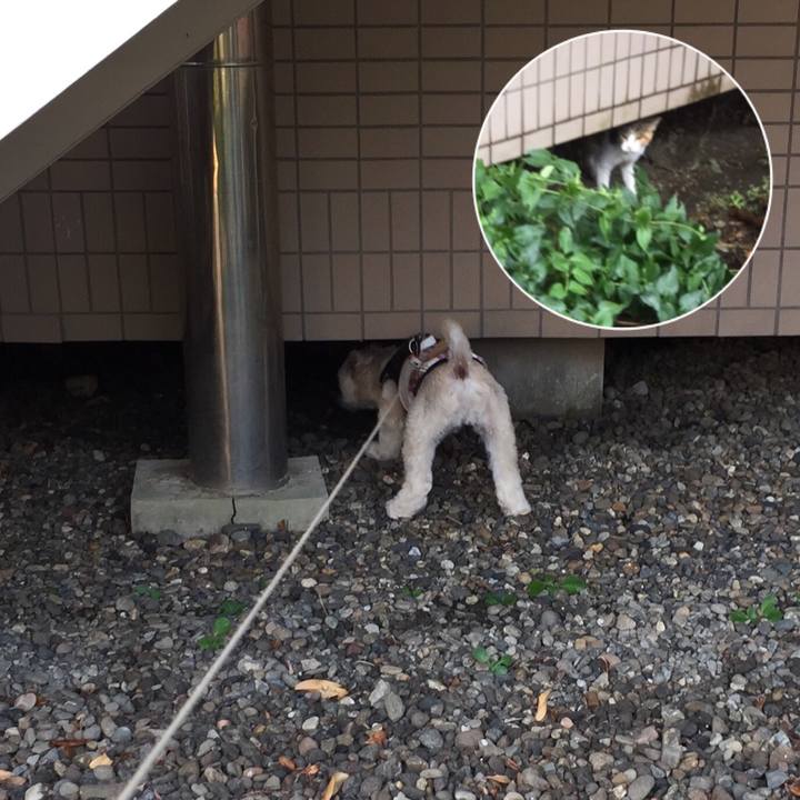 C783750e bb83 4c12 93bc dd9679c771dc 1534289424575