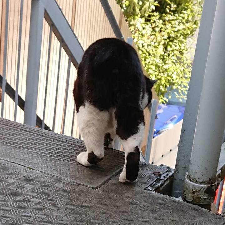 C7838f32 8873 4314 9502 ad6d668f2abe 1649567751650