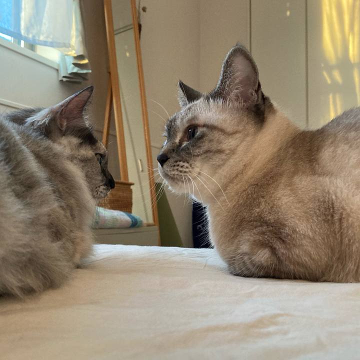 C78398ef fb29 4a1d 94e4 3aaf0ca82048 1723884980782