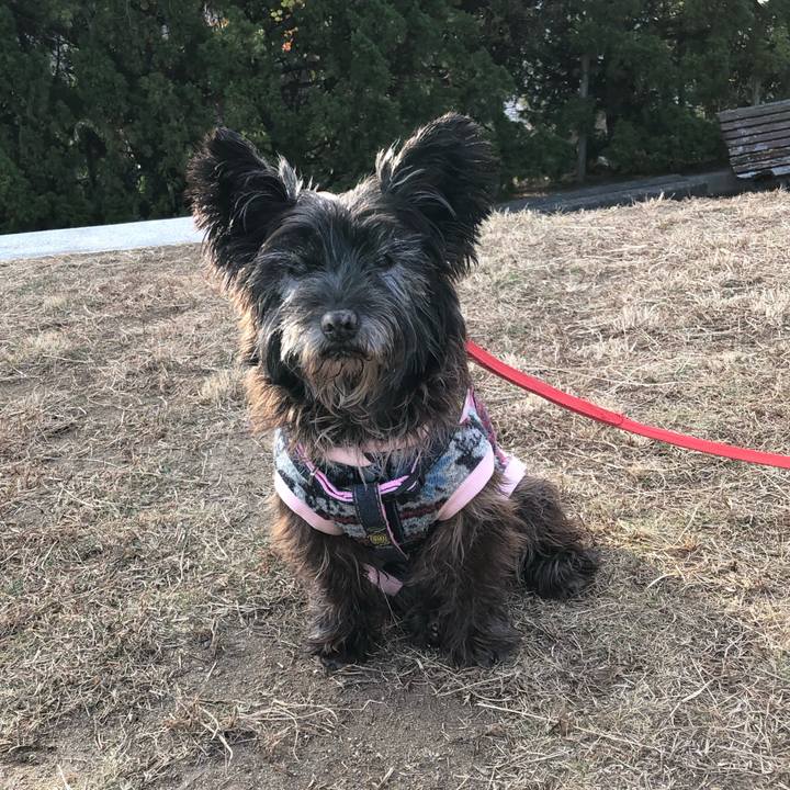 C7839d6d d2ca 4bb5 9fea ec1257de9fc8 1613226953831