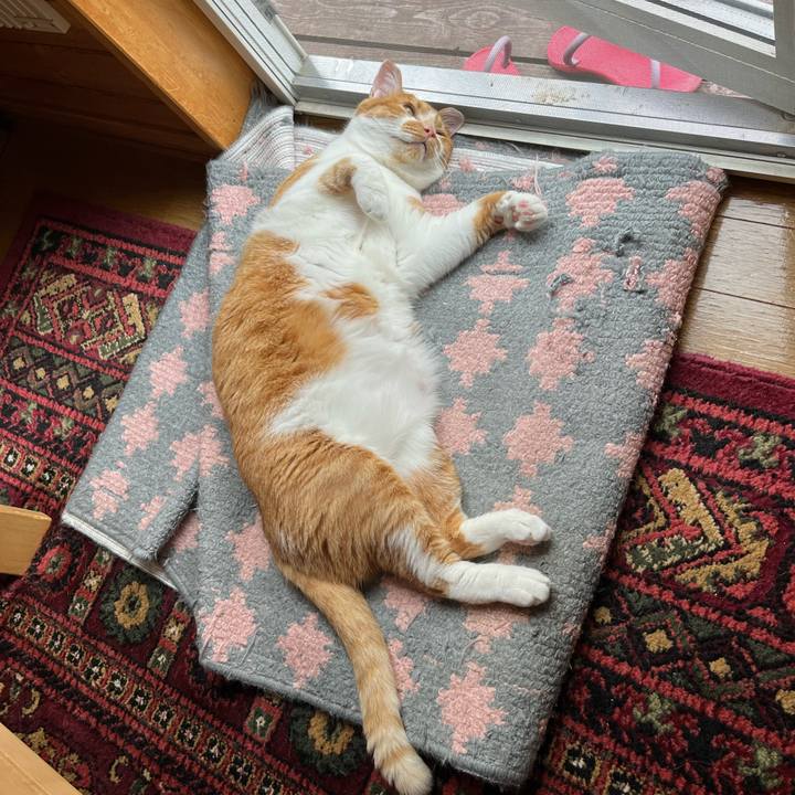 C783ace4 3fdf 4486 83b7 4d18f355454f 1690671593724