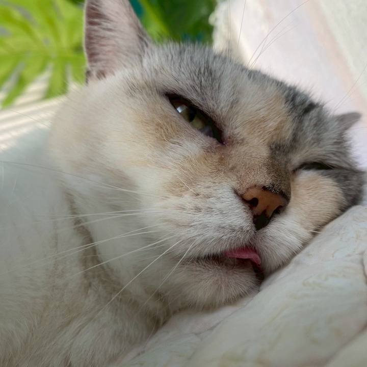 C783d6e8 d771 4fce 8b62 19f840799b99 1752819801952