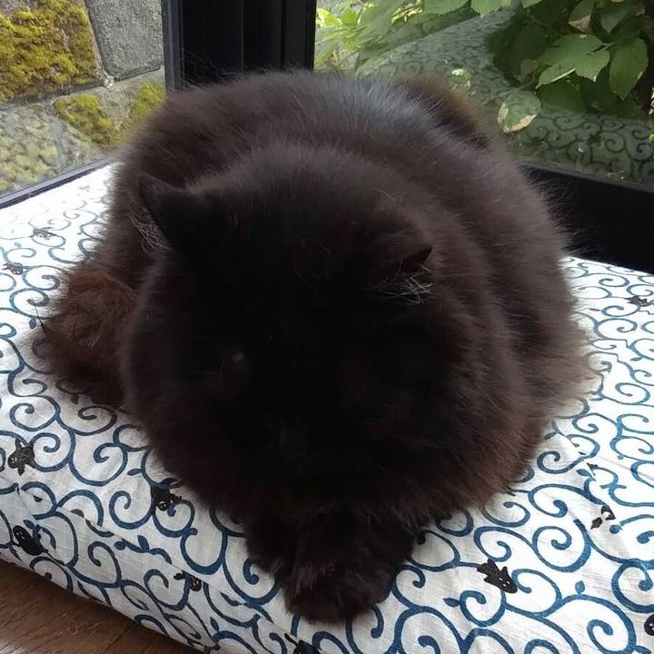 C7842a5a 441f 42f9 b149 7fb6936d41ee 1528247777363