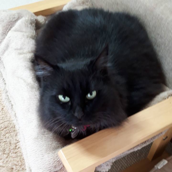 C7842b2b 2bd5 48f4 8943 4272e927d3f4 1521759588752