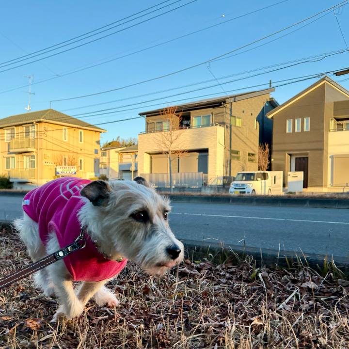 C7845979 6d36 449c 9c08 4bb7d44e480f 1768249116365