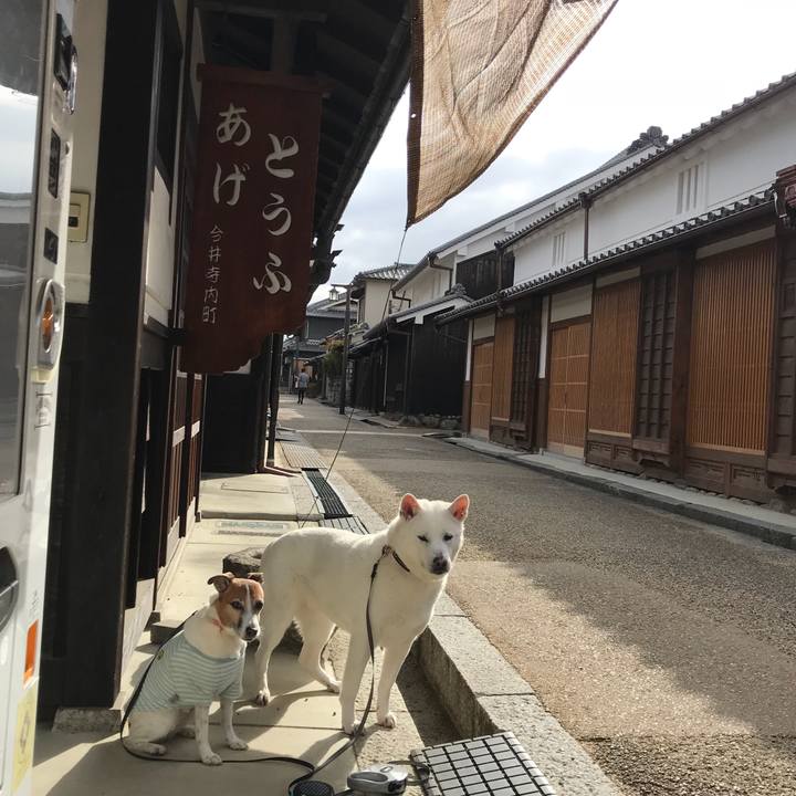 C7845b99 5902 4237 80f6 daa304c7d756 1520649922641