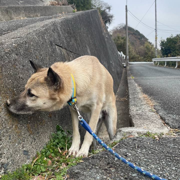 C78481f1 0e68 4693 950e ce4917414512 1641725996616