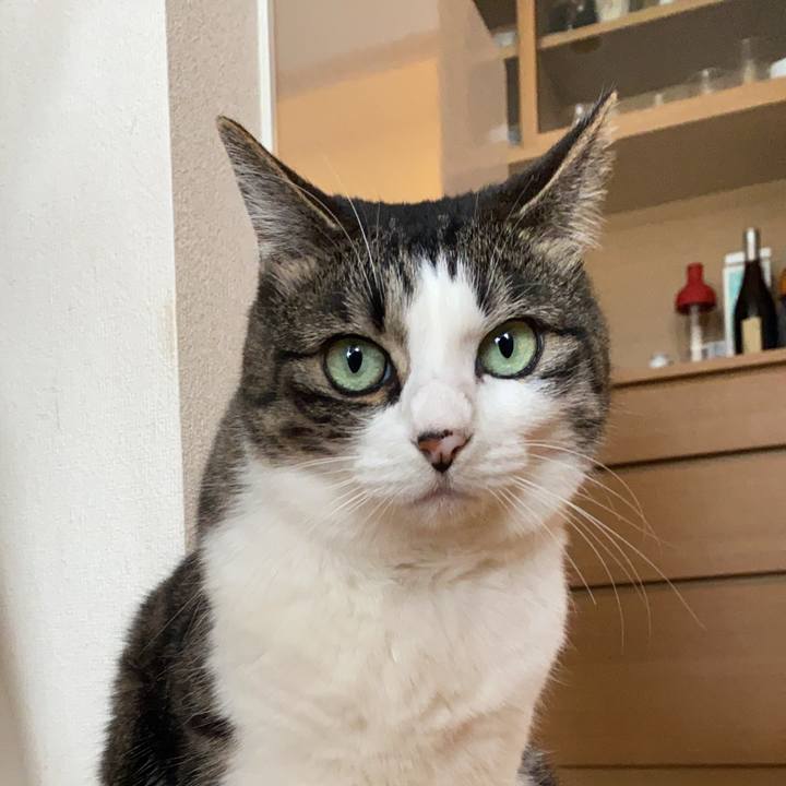 C7848833 7f52 4769 baf6 3d1f3d573e3e 1683419217382