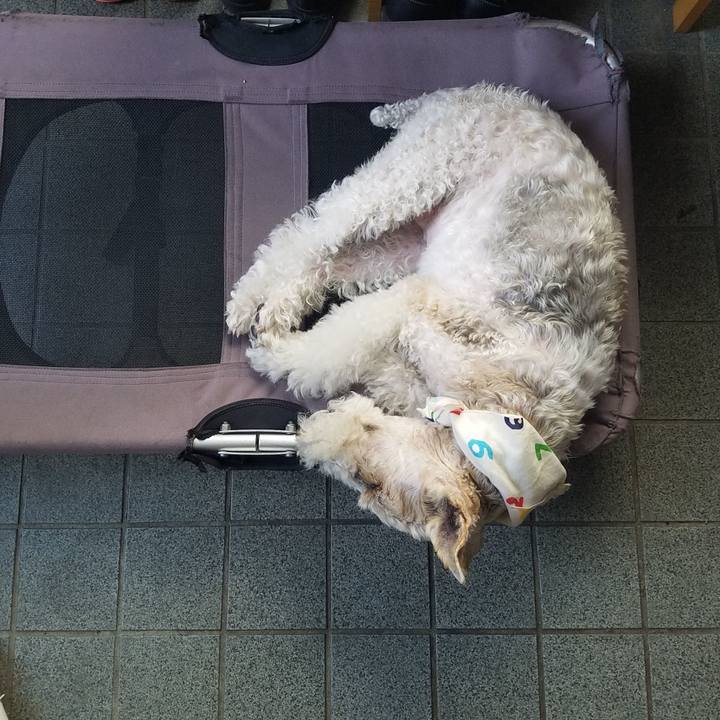 C78494b1 68a6 4bed 9520 a84b713f33b4 1562505712752