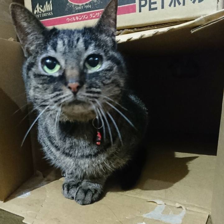 C784e6b4 97c8 49f5 8999 f2b69a2a7f3f 1560247987848