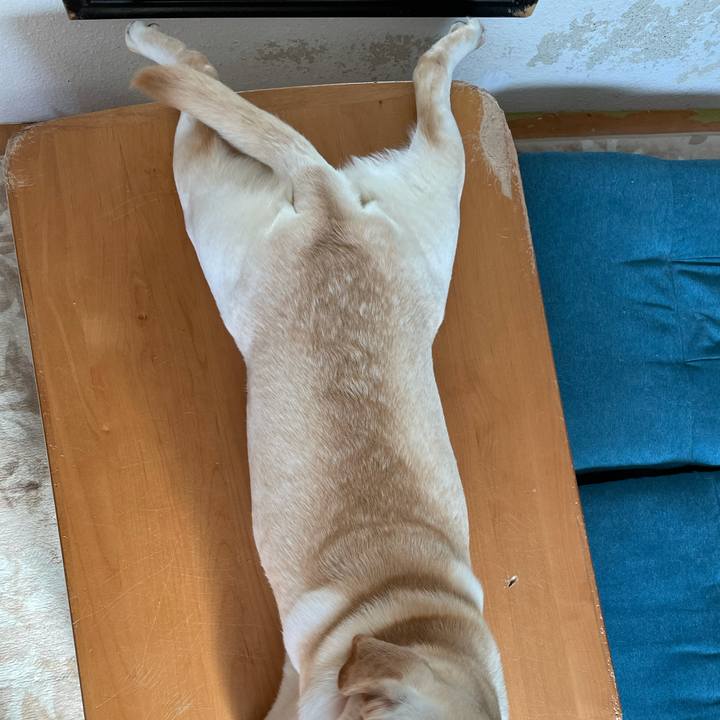 C785133f bed2 4f85 b73b 99440f2d5d35 1635070097681