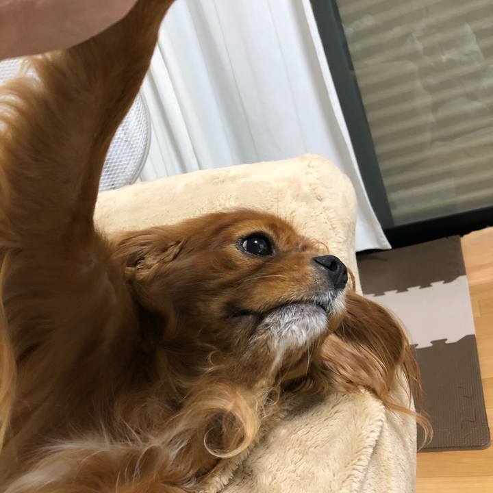 C78518fa f1ca 4af1 8c26 cc1d69434111 1603369774505