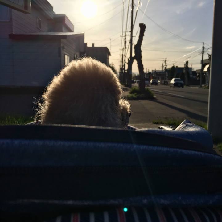 C7857e05 787e 45ad 937d d5fb1be91189 1526546880141