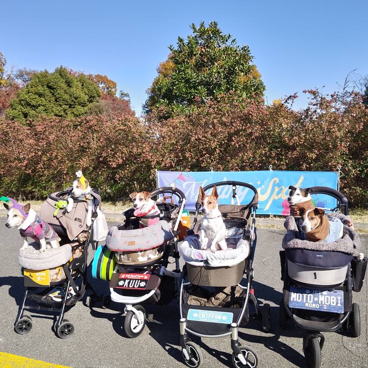 C785b3f8 bfaf 4287 9841 b3e57ed0ca25 1732963764606