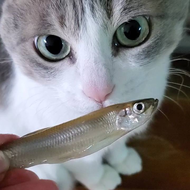 C785baf0 1290 41ee a021 3a688d3e01e2 1704898019684