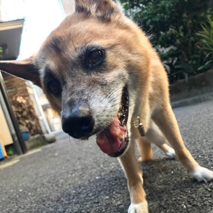 C785c0f1 420b 4d73 8196 c64b45b0f701 1535237190000