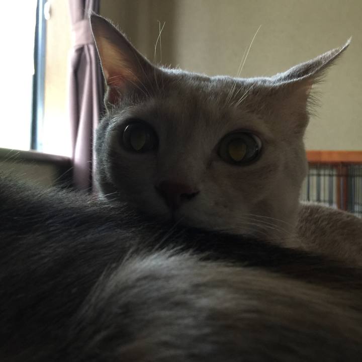 C78642ba b537 4e17 ba21 94ea5c870cc7 1529794495679