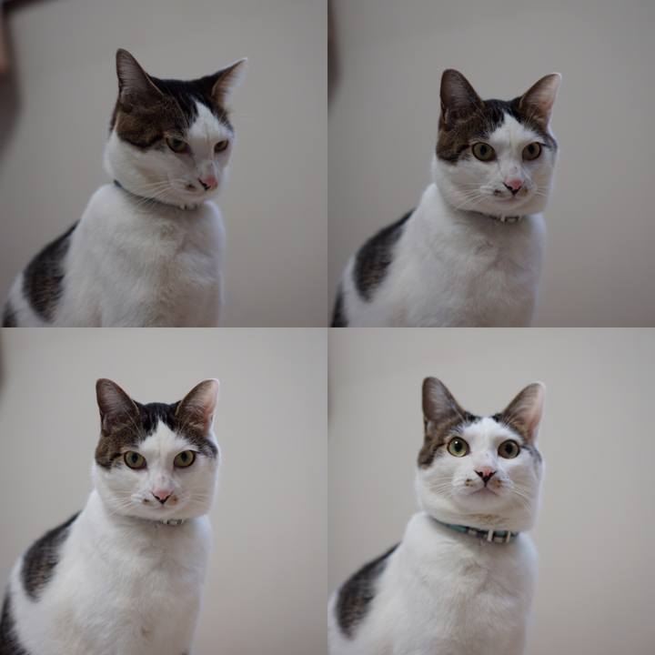 C7867316 9087 4a8e 9531 1cdcfc24f7de 1549323881391