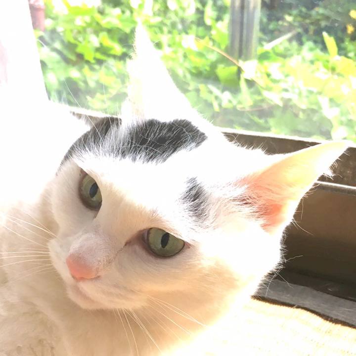 C78674d8 8ee5 4d57 ab9d 54c63fffdb12 1558476532204