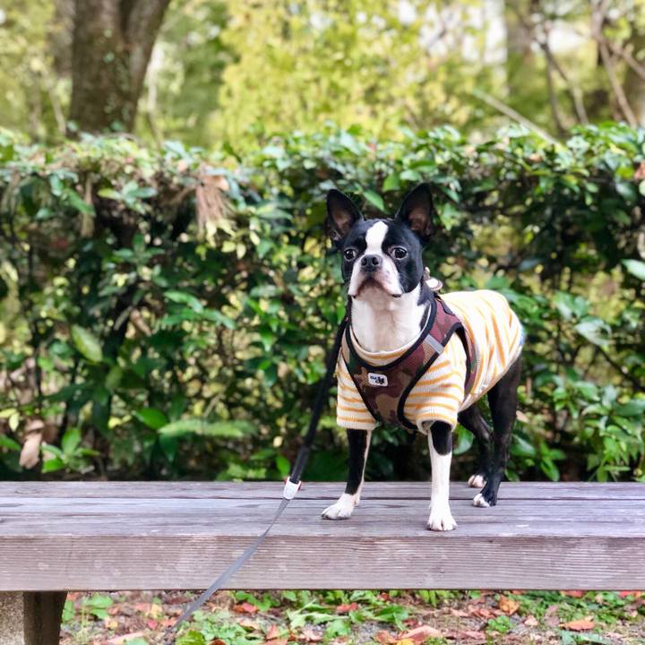 C78690ee d4b5 49c9 aa2c c65b36ec08ff 1543026788497