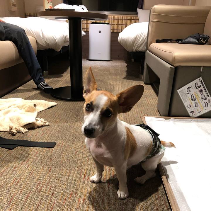 C786973d 526f 4fc1 a247 7f7d3a94ad22 1571478390240