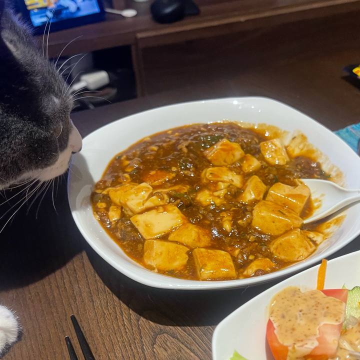 C786c938 0cde 4baa 9d92 0d8aef4d2bf5 1722941422422