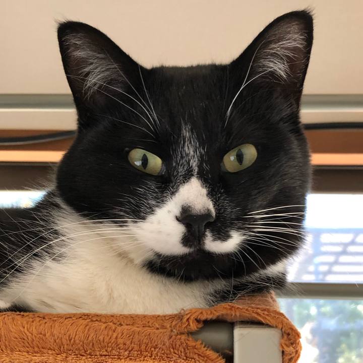 C7870756 d195 4966 982f 94450b941cee 1553659667394