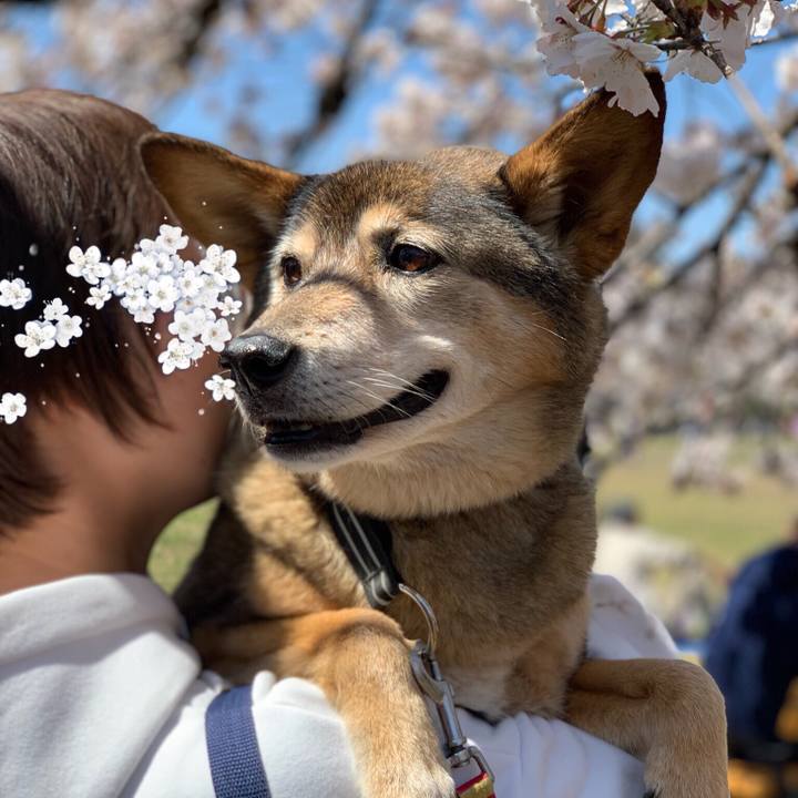 C7872518 7789 4741 8eb7 88599b668575 1554472085193