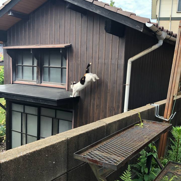 C787277d 2797 43c9 9b19 67dd7eab9e23 1619216646255