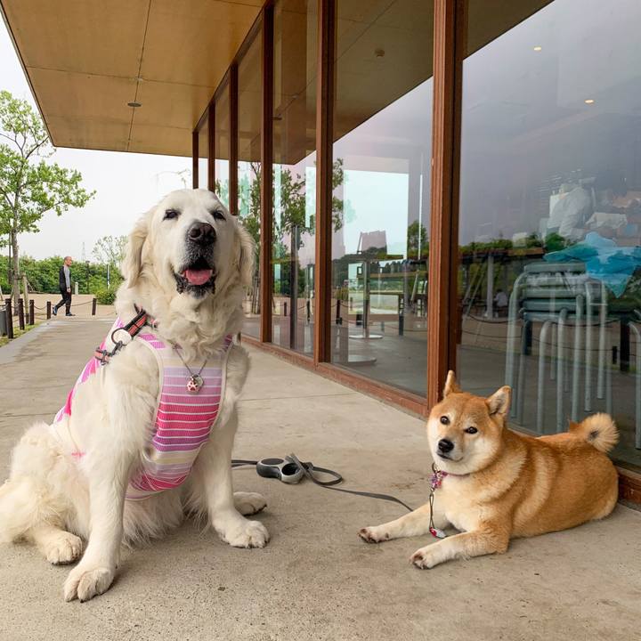 C7873365 130a 42f7 8661 ea831342a0b0 1589786975811