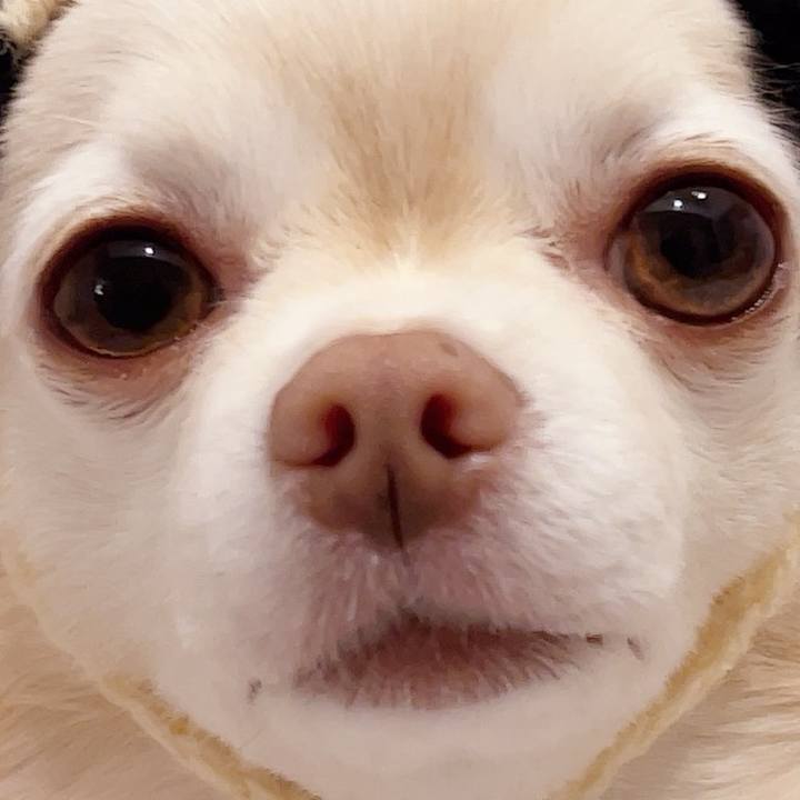 C7877e22 2101 4ebd a05c 76339ec41c47 1744018121799