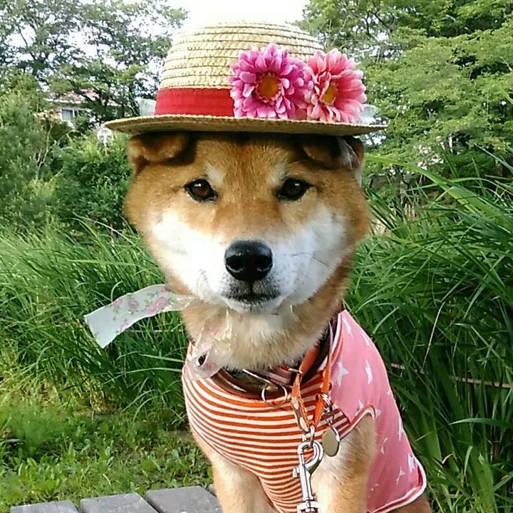 C7880279 8b59 43d4 a0a7 29093875ba9b 1530181135078