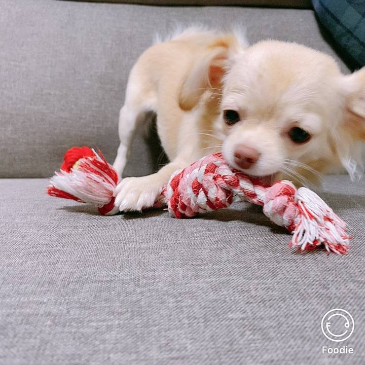 C78835e6 f44f 4489 8ecc 99888582cf28 1602151105805