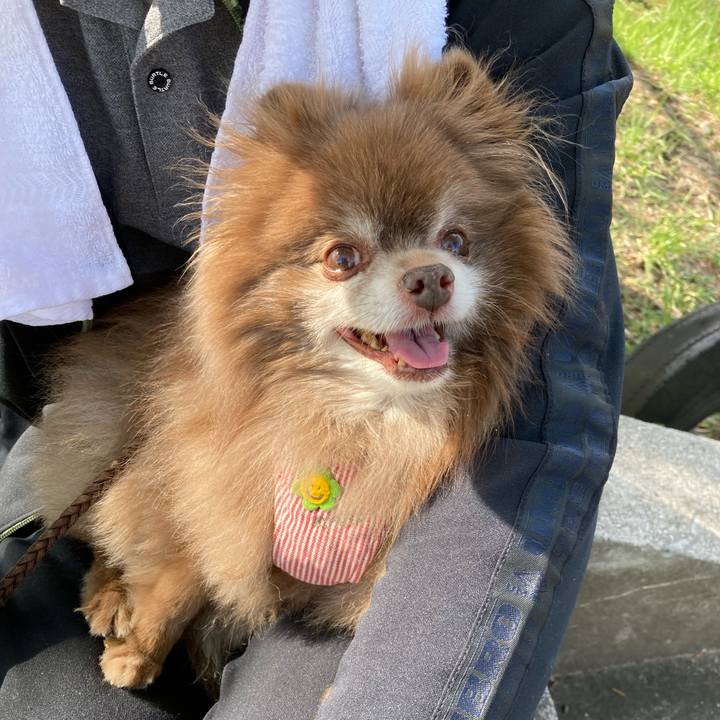 C7883d65 236e 4af5 9cbf 356887cb3afa 1682764792526