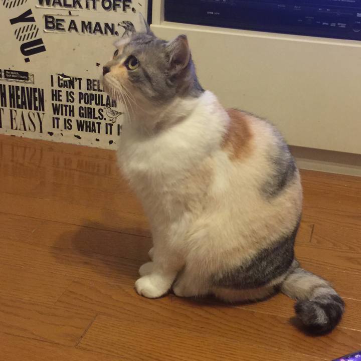 C78885d1 52b7 422e a9c8 6bdf5820bf4f 1571364090939