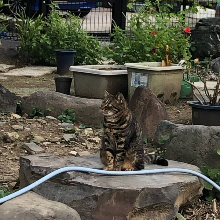 C788b313 7749 4925 9685 a0fb48092dba 1570460272098