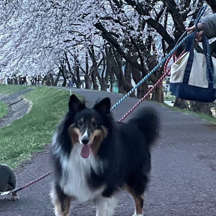 C788bd9a 90b4 4f08 b1bc 1403a859f423 1649845310000