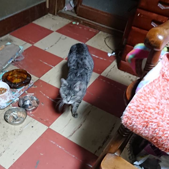 C788c349 177c 4d3f b243 d3b01d9189cb 1580069141213