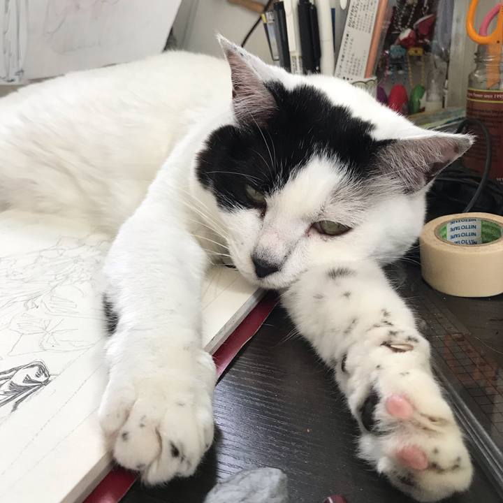 C78952ec b2dd 4541 a19e 05eb37be1097 1560862293995