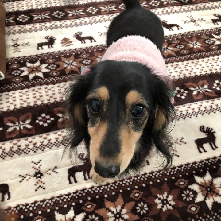 C7897bb6 b52d 421c ae78 c4c84e7df7ee 1548460535871