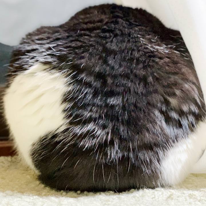 C789b5eb e5be 4fa8 8a59 92e07a68e3bb 1552874773824