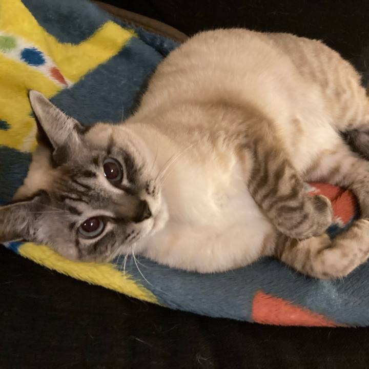 C789d855 03bf 4449 82cd e573d9e3f070 1644580252922