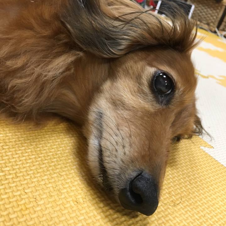 C78a3958 c3d4 4725 8203 2503407ded28 1561642957025