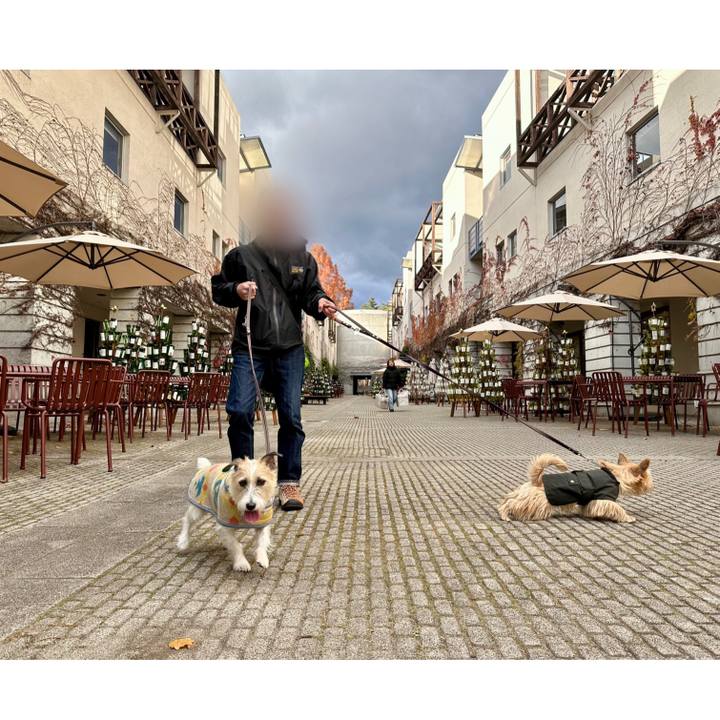 C78a52b1 0239 4e62 aea1 3fb6e0f16909 1732986661783