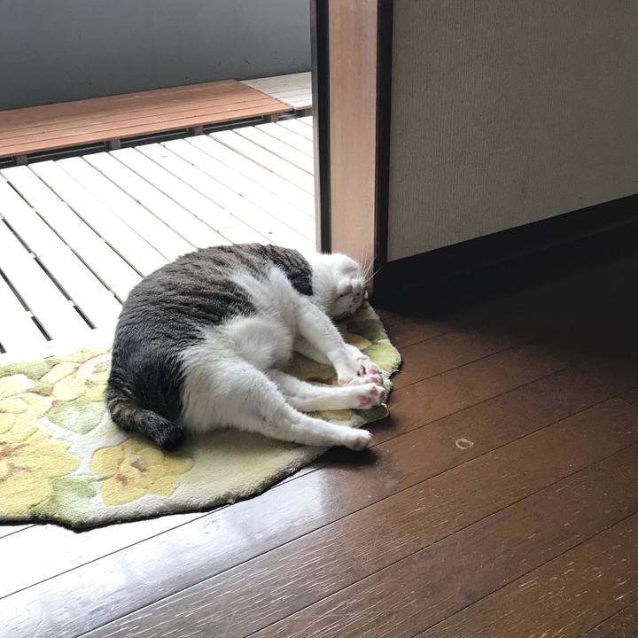 C78a5432 ddf7 4d3d bbee 531086c4b014 1530965255968