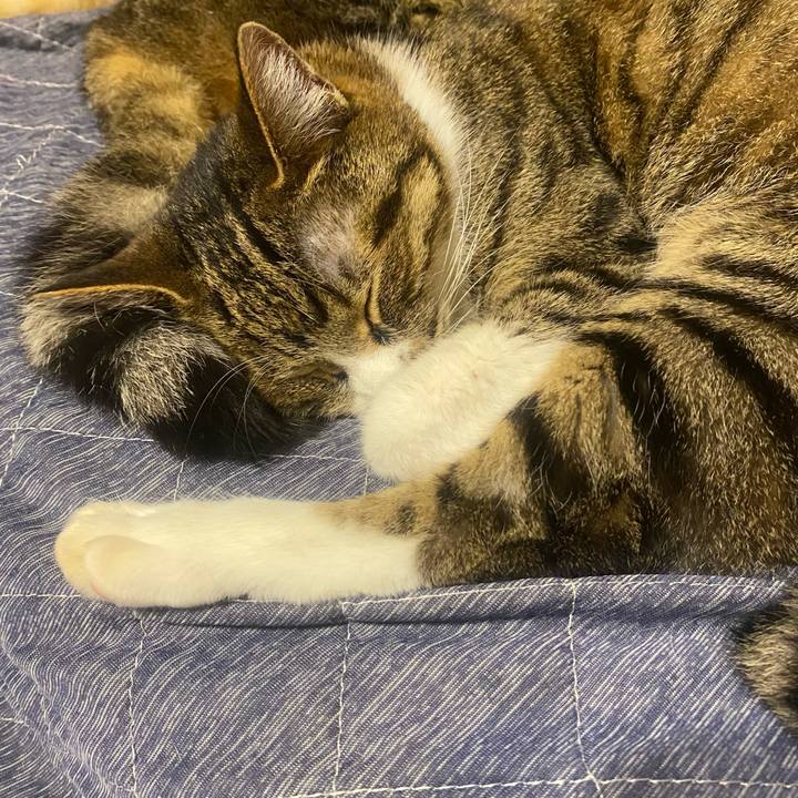 C78a6178 ace8 4f8f 98a8 e3db88c8c6cc 1622115576094