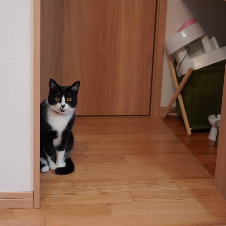 C78a706f 2add 40fc b852 19726371eddc 1625406260330