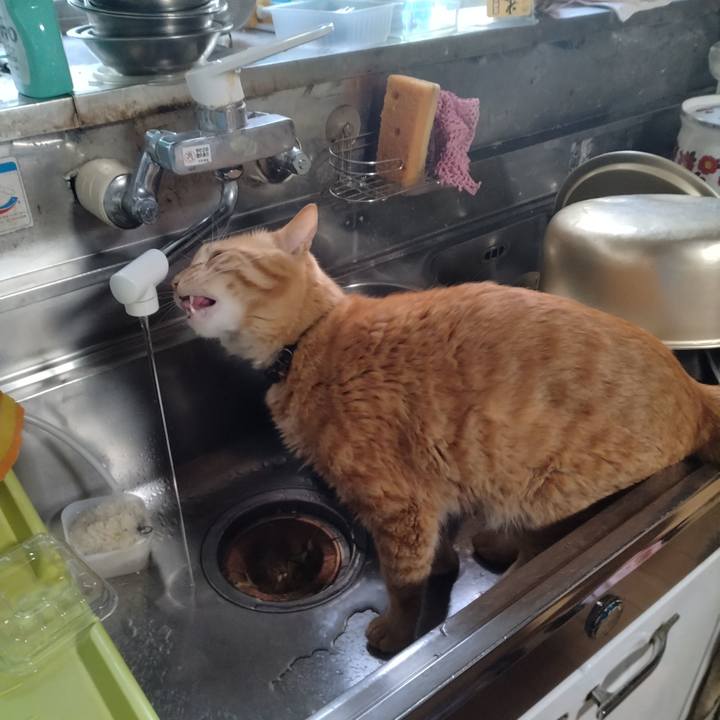 C78a7fb2 0b46 447e 821b 4cac4a7c0d77 1717452539394