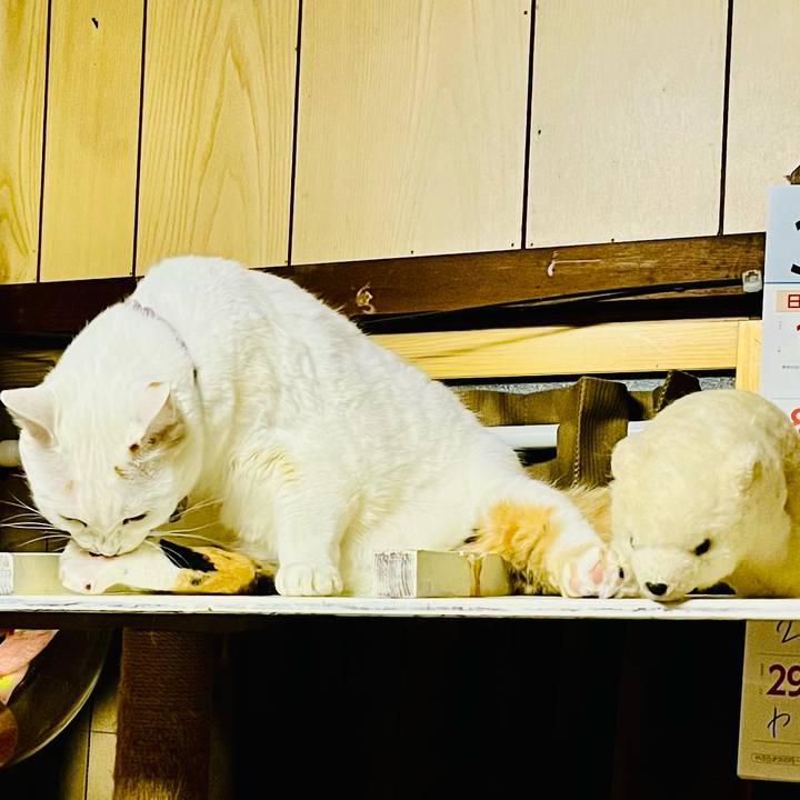 C78a8441 4689 410a a04c 61ecefd60fdf 1773344944355