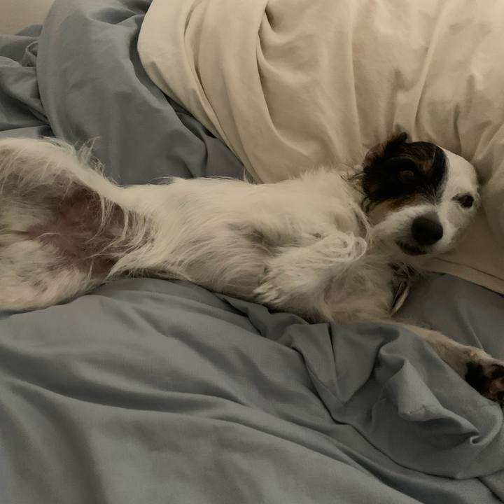 C78a8fa8 b18b 4635 bf88 de4451c692a1 1620136027648